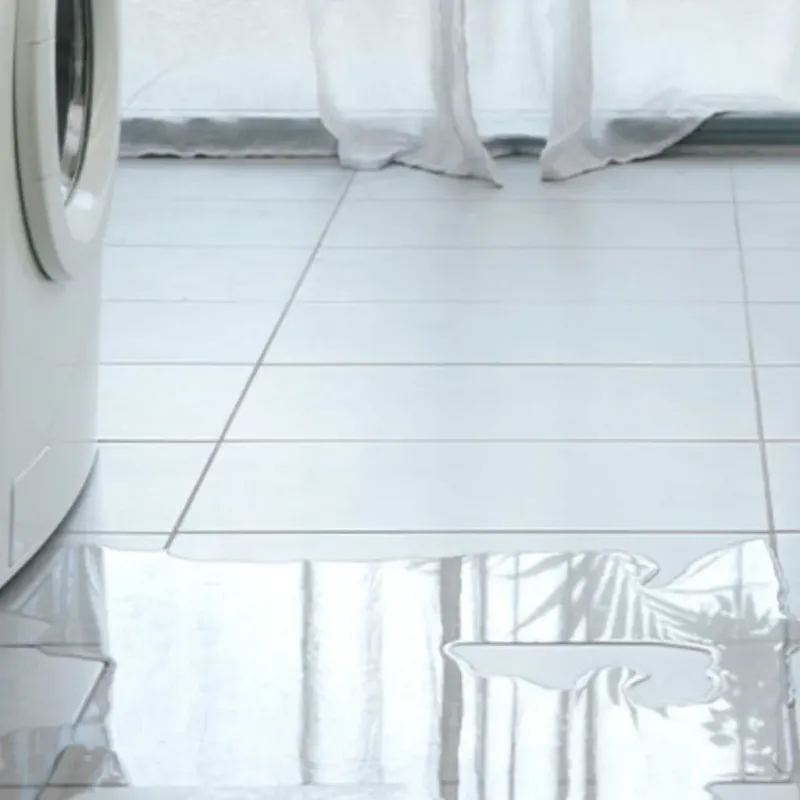 Appliance Leak Cleanup in Palm Beach County, FL